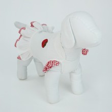 roupa para cachorro
